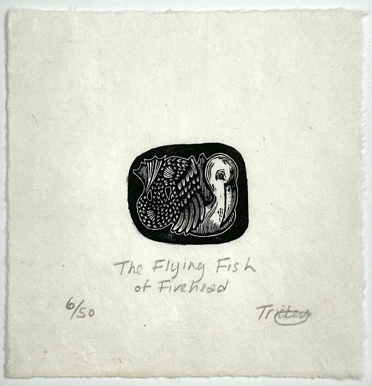The Flying Fish of Fivehead