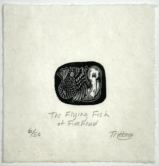 The Flying Fish of Fivehead
