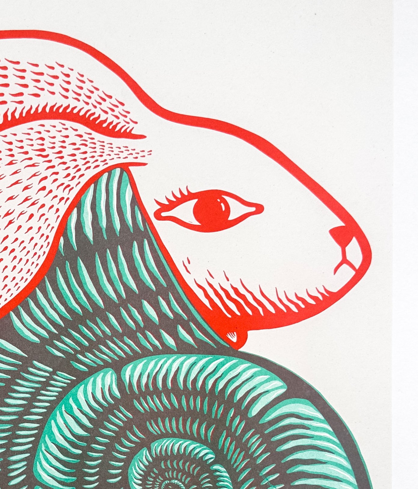 Snabbit riso