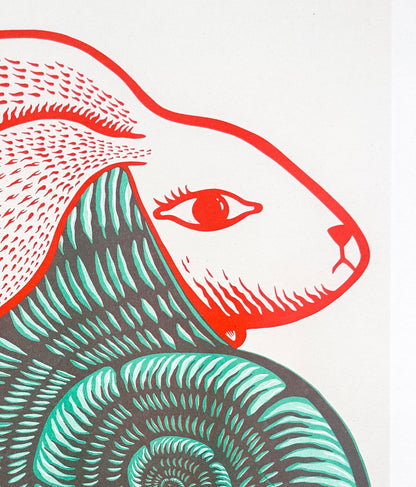 Snabbit riso